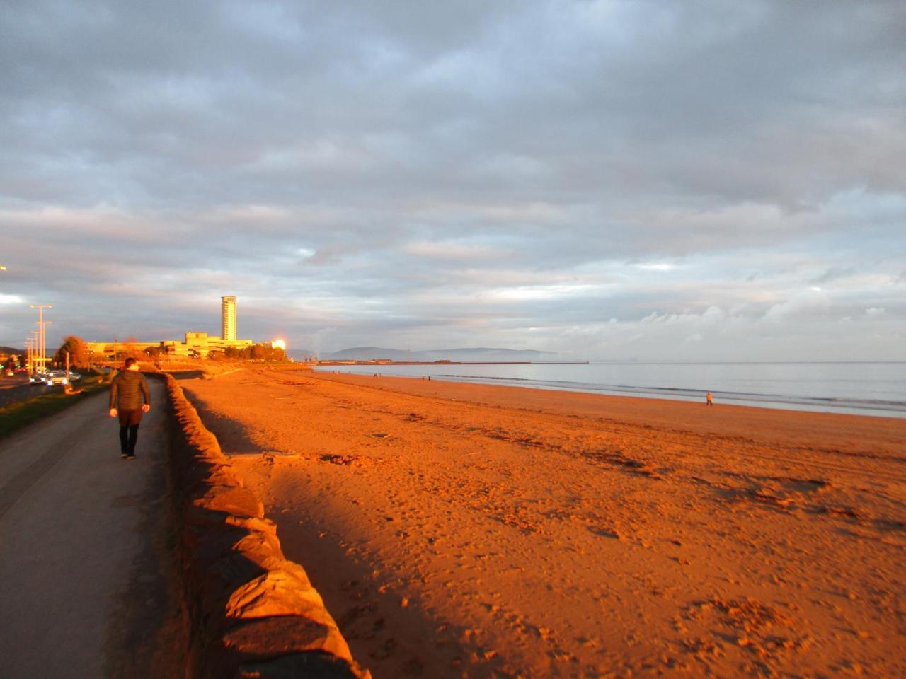 Beachcomber Swansea